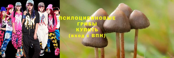 гашик Беломорск