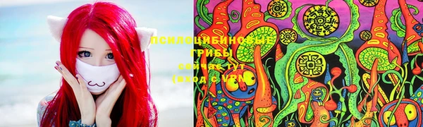 амф Белокуриха