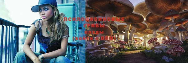 гидропоника Лиски
