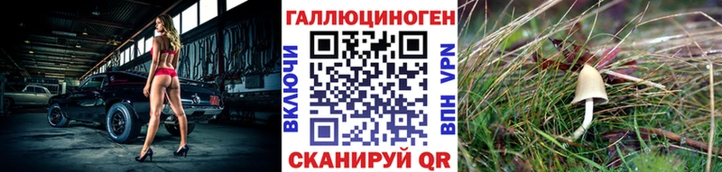 цена   кракен ссылки  Галлюциногенные грибы мицелий  Киров 